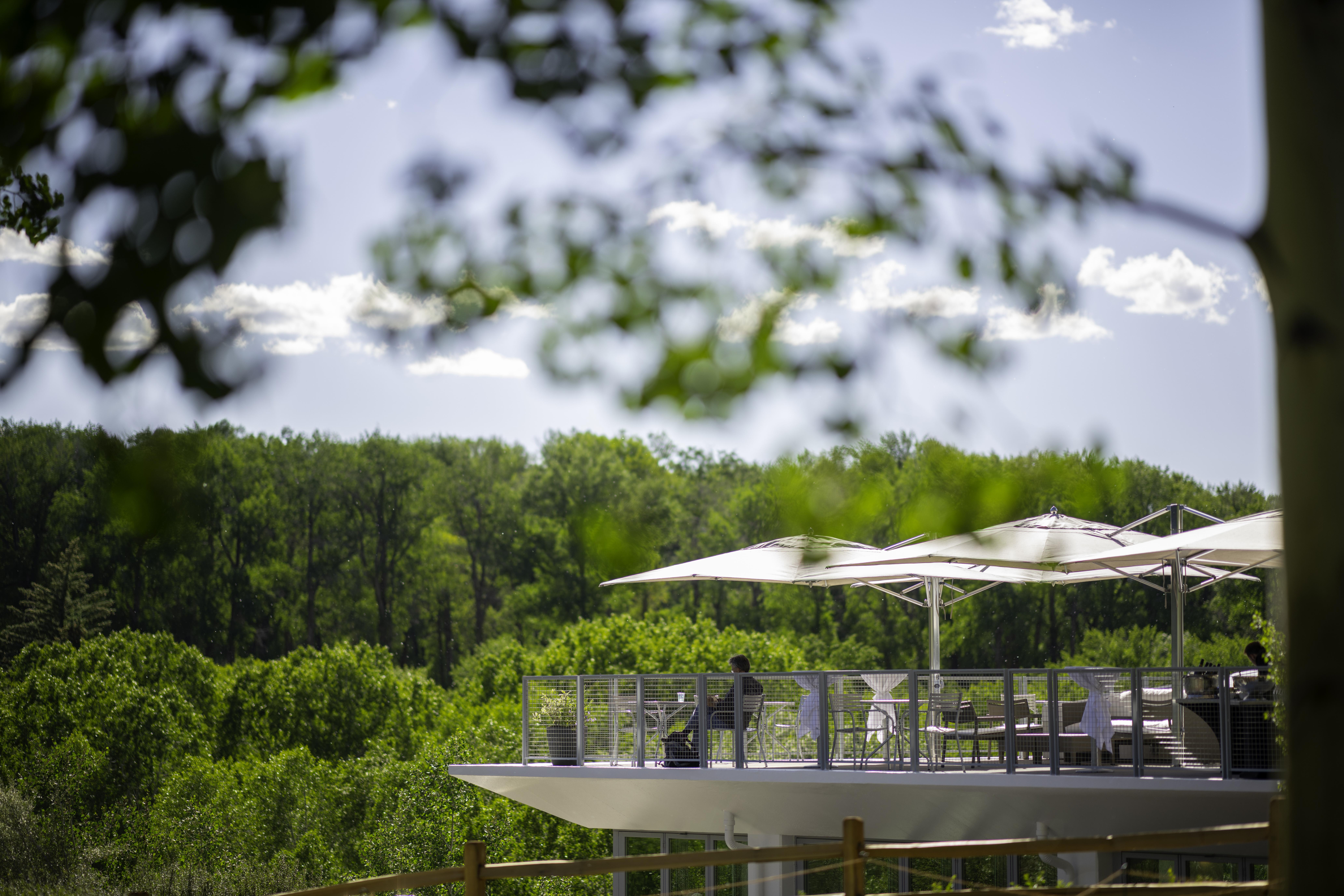 Aspen Meadows Resort Luaran gambar